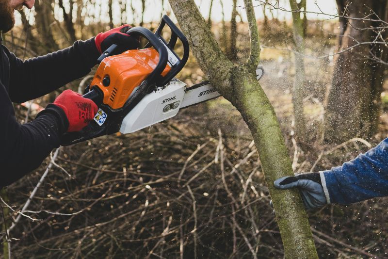 Kasia 9Wzcto4Simu Unsplash