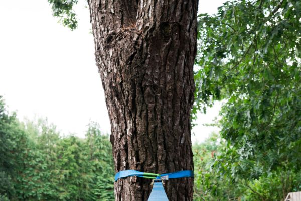 Erwan Martin Ilthpbmrf8E Unsplash