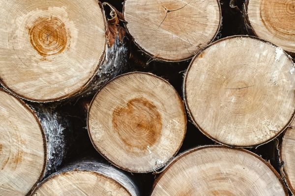 Eugene Golovesov J0Ul Pfxlfm Unsplash